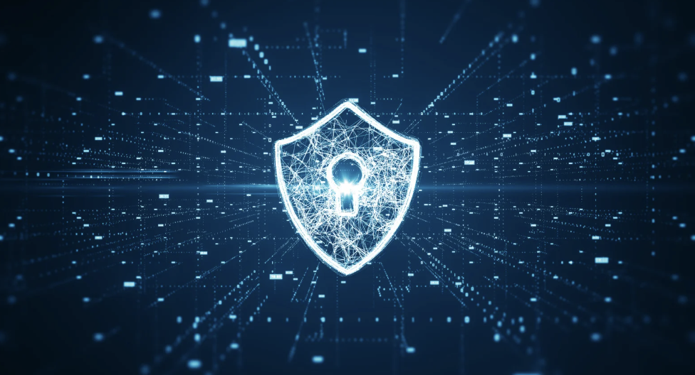 Your Data and Your Rights: SSA, Privacy, and the FOIA - Harrell Law Office