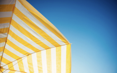 How to Use a Benefit Verification Letter for Summer Assistance Programs